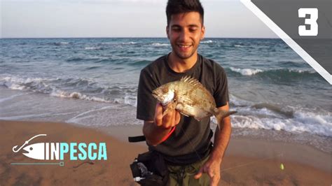 Pesca In Calabria Pt Pesca A Fondo Con Il Bibi Sarago Catch And