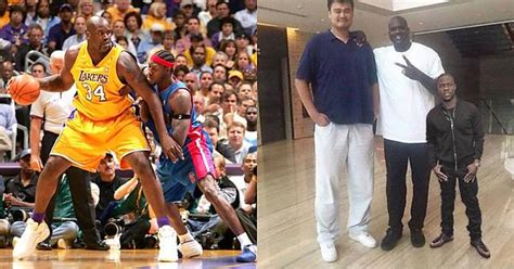 How Big Is Yao Ming Shaq Ben Wallace And Kevin Hart For Scale Imgur