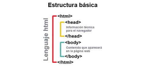 Estructura Básica De Una Página Web Html Head Y Body