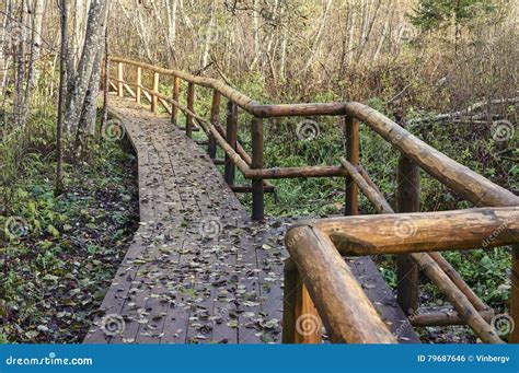 Ponte De Madeira Na Floresta E No Parque Foto De Stock Imagem De