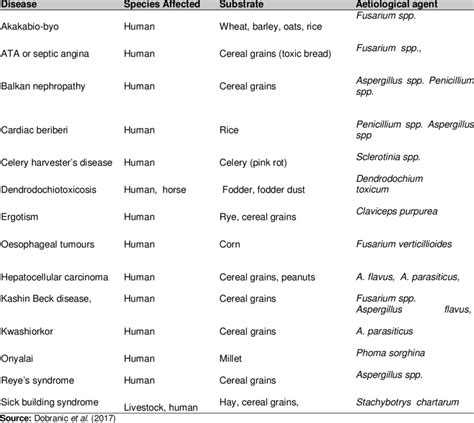 Types Of Fungi On Humans