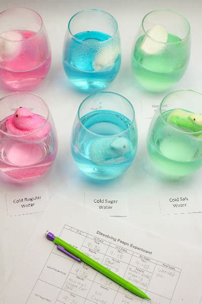 Dissolving Peeps Stem Process Sarah Lyn Gay