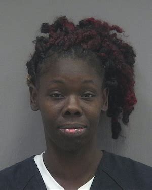 Jail Booking Log, August 3 - Alachua Chronicle