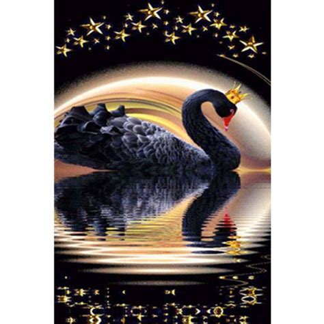 Buy Full Squareround Diamond Painting Black Swan 5d Diy Diamonds