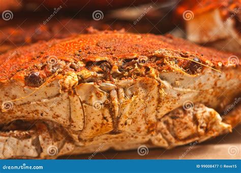 Colossal Steamed And Seasoned Chesapeake Blue Claw Crab Stock Image