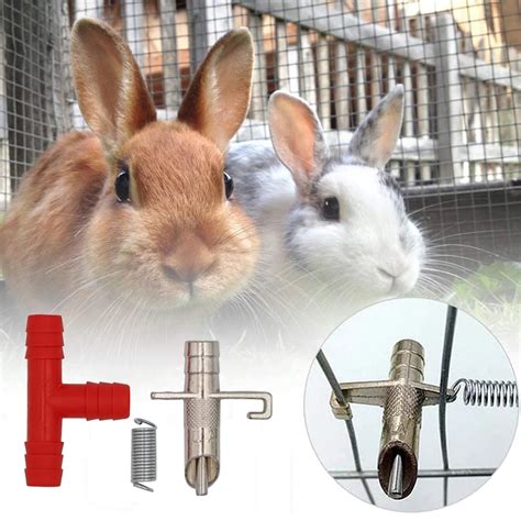 Automatic Rabbit Waterer Nipple Drinkers Ph Buy Automatic Rabbit