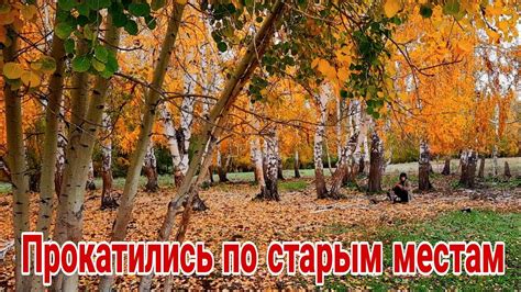 Пасмурный и тусклый выход - YouTube