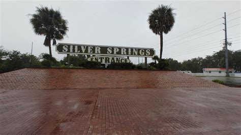 Silver Springs Manatee Kayaking Tour | GetYourGuide