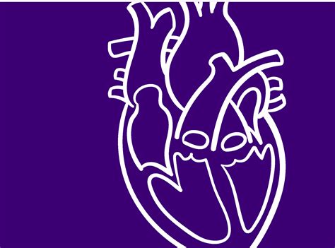 Heart Of Scotland Her Disease Heart Research Uk