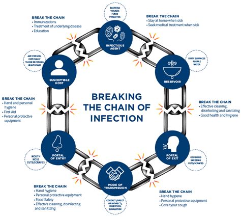 Breaking The Chain Of Infection Quiz