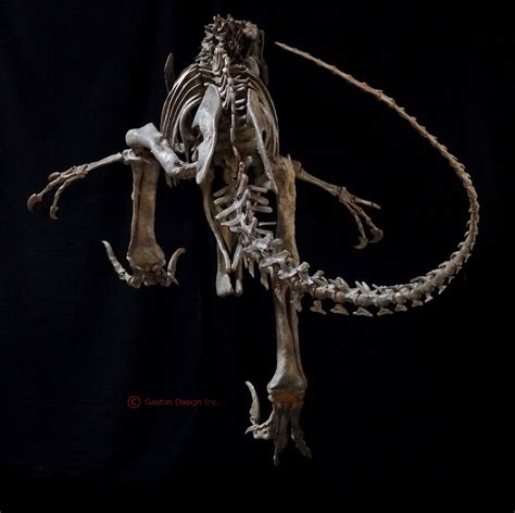 New Utahraptor Skeleton Replica | DINOSAURS ROCK SUPERSTORE | Fossil ...