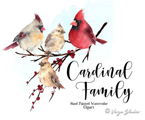 Watercolor Cardinal Birds Clipart Female Cardinal Red Cardinal - Etsy ...