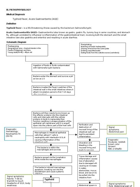 Pathophysiology Of Typhoid Fever And Acute Gastroenteritis