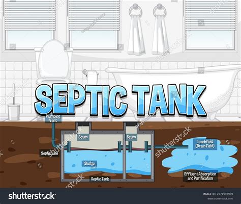 Septic Tank System Diagram Illustration Stock Vector (Royalty Free ...