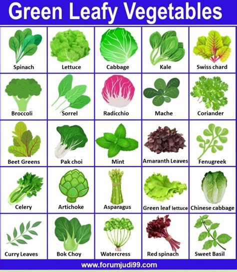 Green Leafy Vegetables Name in English