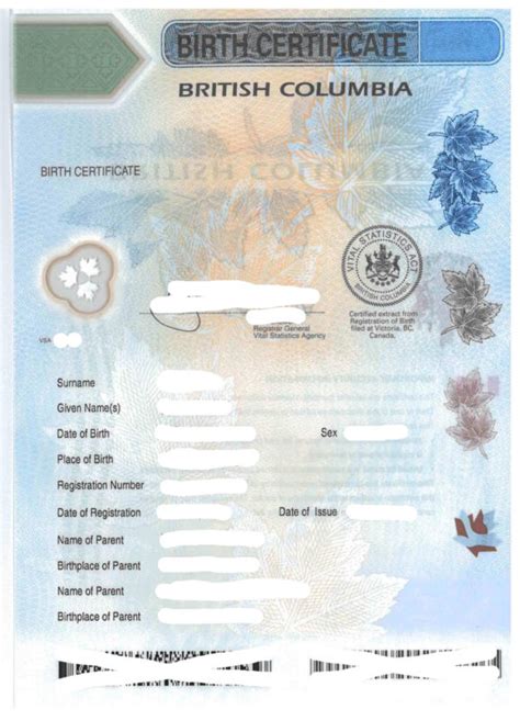 Birth Certificate British Columbia Canada Musterübersetzungen Von Urkunden