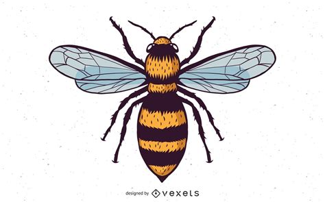 Vector Honey Bee Vector Download