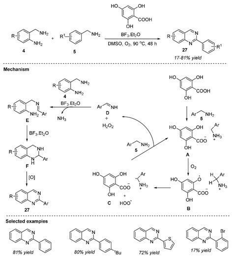 Scheme 13 4 6 Dihydoxysalicylic Acid Catalyzed Synthesis Of Quinazolines Download Scientific