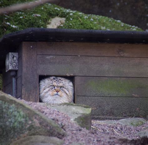 Links Archives Naked Capitalism