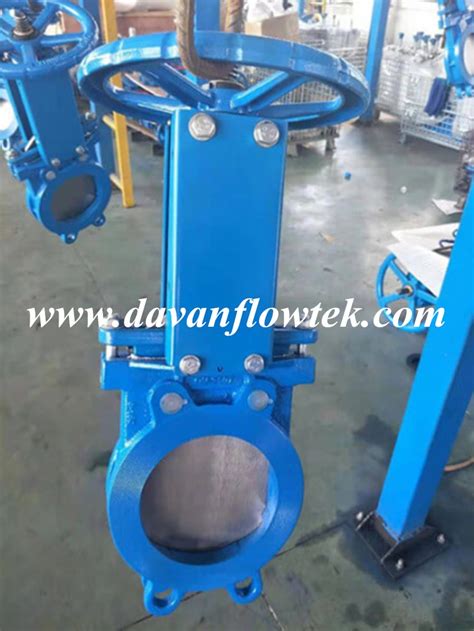 Ductile Cast Iron Rubber Seat Wafer Lug Pn Ggg Manual Operated