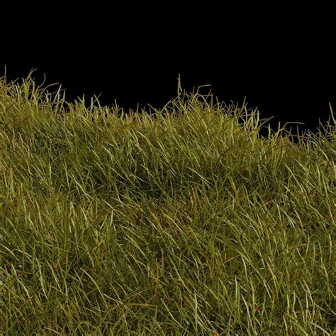 Realistic Grass 3d Model Cgtrader