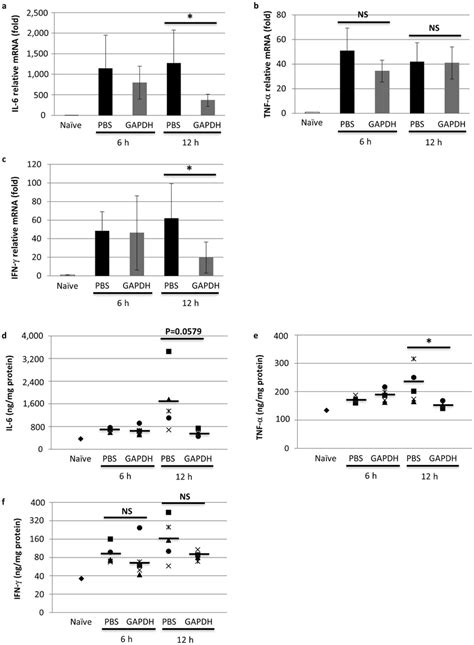 Proinflammatory Cytokine Expression In The Lung After Lps Injection Download Scientific