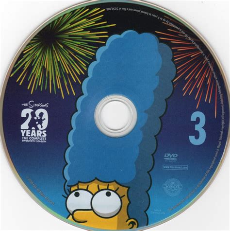 The Simpsons: Season 20 - TV Series - CD Labels, DVD Covers, Front Cover