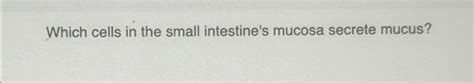 Solved Which Cells In The Small Intestine S Mucosa Secrete