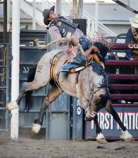 Photos: It’s rodeo time - The Durango Herald