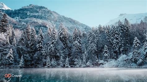 28 Winter and Holiday Backgrounds for Microsoft Teams - Crayon