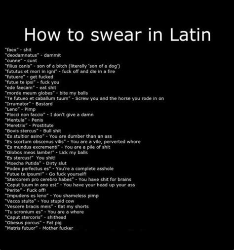 Latin Swears Funny Words To Say Latin Quotes Funny Words