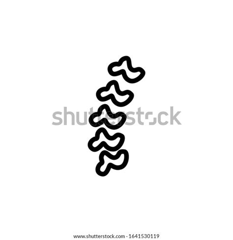 Spinal Column Vector Icon Linear Outline Stock Vector Royalty Free