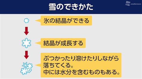 湿った雪がもたらす生活への影響とは ウェザーニュース