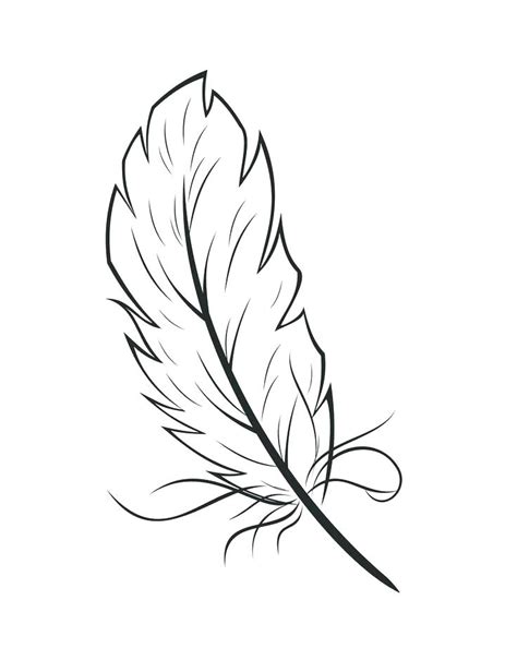 Eagle Feathers Drawing at GetDrawings | Free download