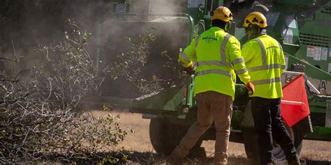 Do You Need A Tree Removal Permit In Folsom Ca