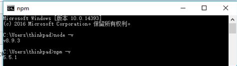 Windows系统安装nodejs，和webpack的结合，搭建vue项目 Nodejs Npm 运行vue项目 Window Csdn博客