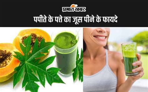 Papaya Leaf Juice Benefits ये हैं पपीते के पत्ते का जूस पीने के 5 सबसे