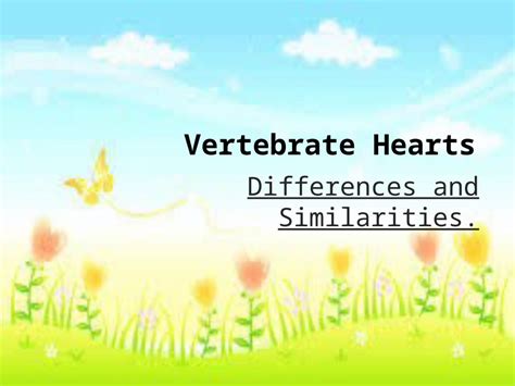 (PPTX) vertebrates hearts and hemocytes function - DOKUMEN.TIPS