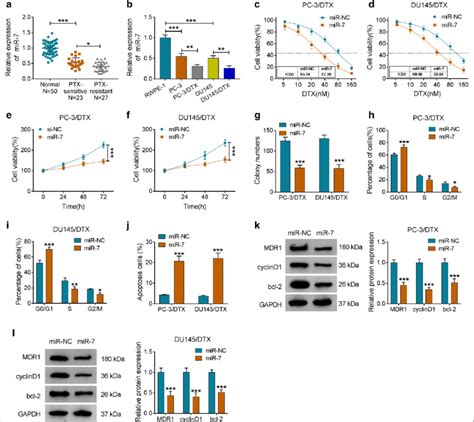 Effects Of MiR 7 Mimic On The Sensitivity Of DTX Resistant PCa Cells To