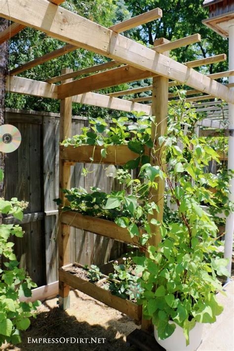 30 Arbor Trellis Obelisk Ideas For Home Gardens Diy Garden