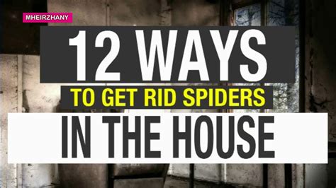 How To Get Rid Of Spiders In The House Youtube