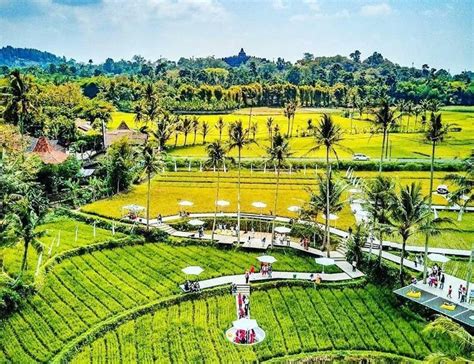 Objek Wisata Tengah Sawah Estetik Svargabumi 22 Spot Foto Badan