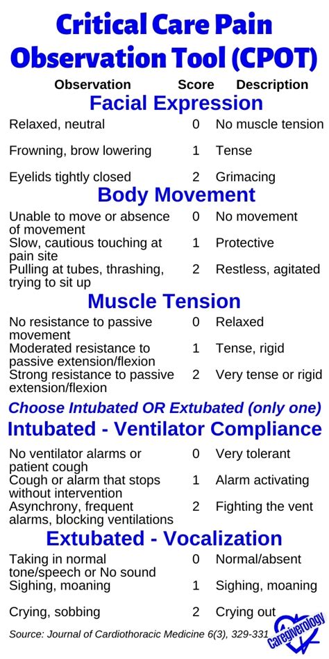 Pain Management Basics For Your Patient Caregiverology