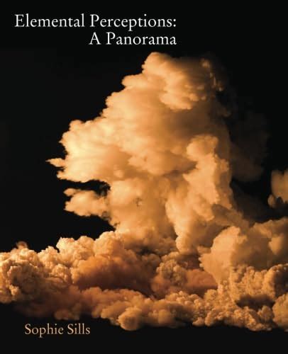 Elemental Perceptions A Panorama Sills Sophie 9781609640262 Amazon