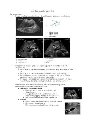 Radiologie Periode 3 Theorie Anatomie Pathologie Leerdoelen RD