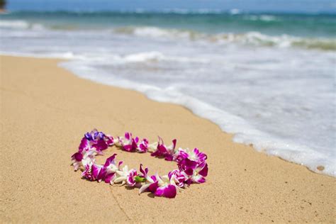 Lei Stock Photos, Images and Backgrounds for Free Download