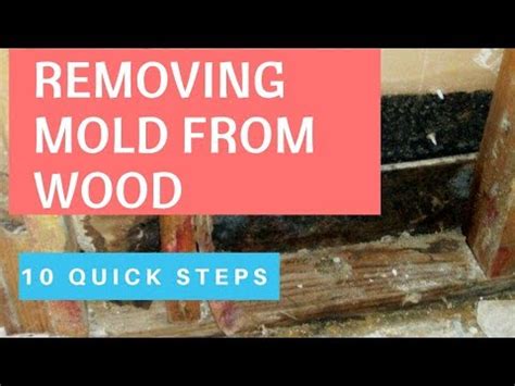 Proven Ways To Remove Mold From Wood How To Remove Mold Inside Walls