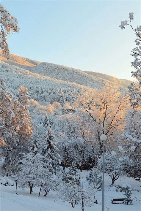 桌布 冬天，雪，樹木，公園 2880x1800 Hd 高清桌布 圖片 照片