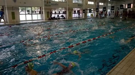 A Sesto San Giovanni I Cittadini Vengono Intervistati La Scuola Fa