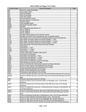 Fillable Online NCUA 5300 Call Report Form Detail Fax Email Print